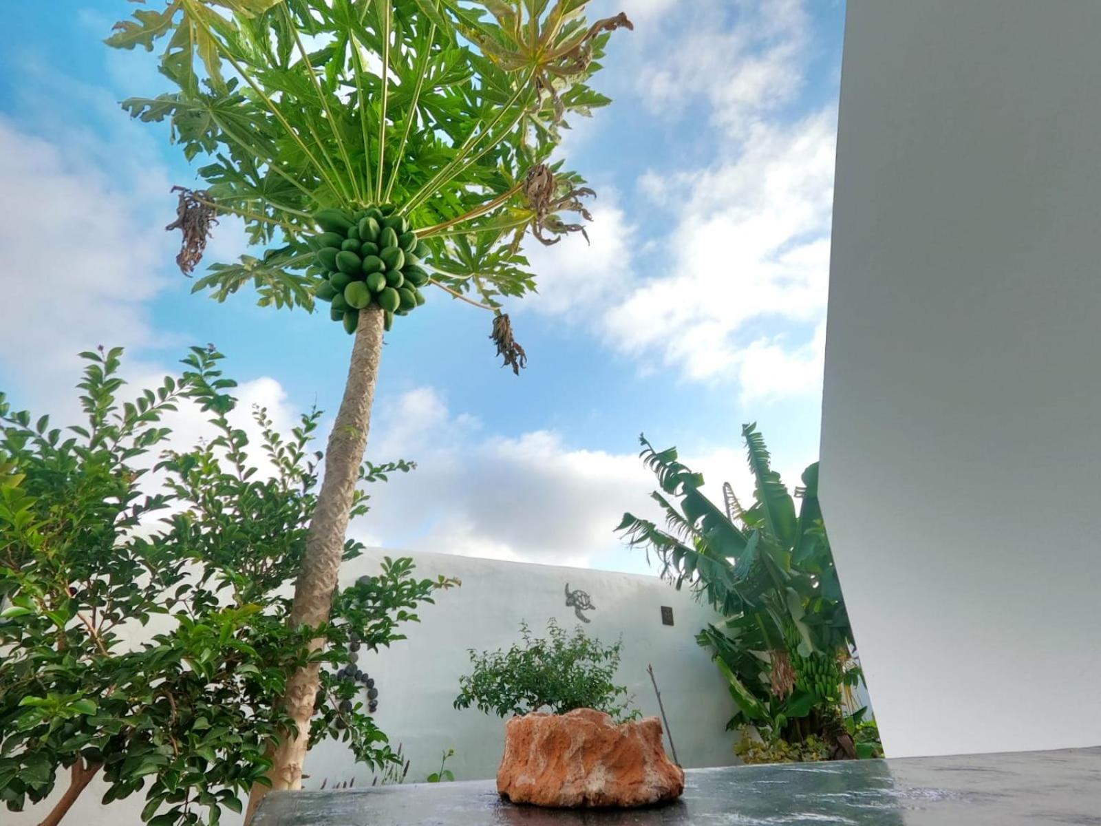 Ferienwohnung Jardin Del Mar Tinajo Exterior foto